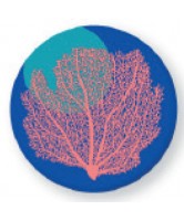 Magnet rond corail