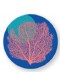 Magnet rond corail