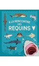 A la rencontre des requins