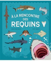 A la rencontre des requins