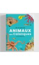 ANIMAUX DES CALANQUES 