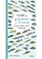 GUIDE DES POISSONS DE FRANCE : COURS D'EAU, LACS ET ÉTANGS