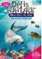 Animaux marins : mon bloc de jeux