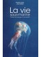 Code Vagnon la vie sous marine : guide du plongeur naturaliste