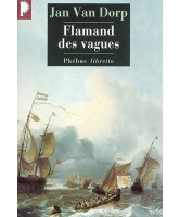 Flamand des vagues