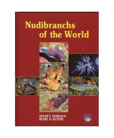 World Atlas of Nudibranchs
