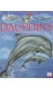 Les dauphins : pour les faire connaître aux enfants