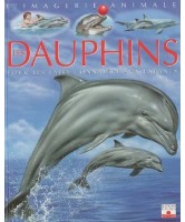 Les dauphins : pour les faire connaître aux enfants