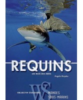 Requins : les rois des mers