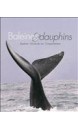 Baleines & dauphins