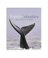 Baleines & dauphins